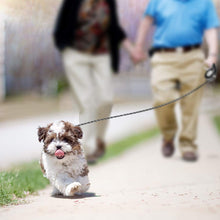 Load image into Gallery viewer, Retractable Dog Leash with Tangle-Free Heavy Duty One Button Break &amp; Lock Tape
