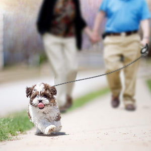 Retractable Dog Leash with Tangle-Free Heavy Duty One Button Break & Lock Tape