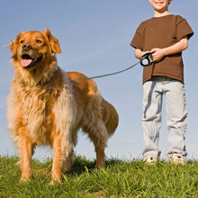 Load image into Gallery viewer, Retractable Dog Leash with Tangle-Free Heavy Duty One Button Break &amp; Lock Tape
